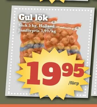 Gul lök