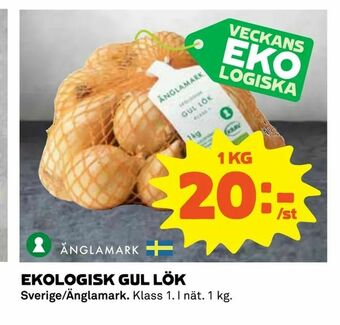 Coop Daglivs Ekologisk gul lök erbjuda