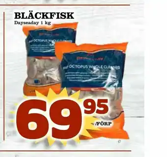 Bläckfisk