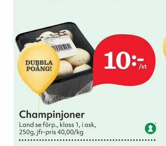 Hemköp Champinjoner erbjuda