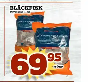 Bläckfisk