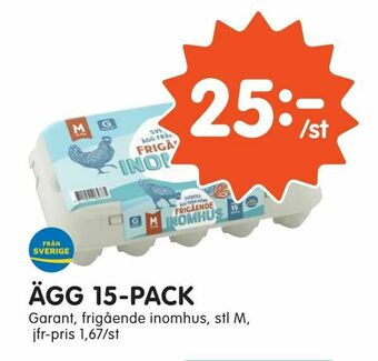 Tempo Ägg 15-pack erbjuda