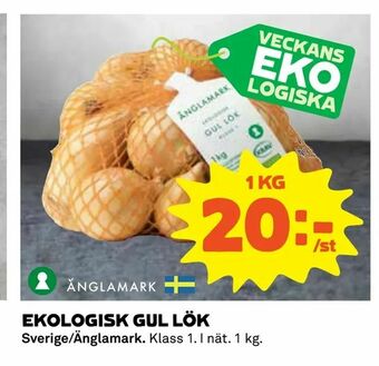 Coop Konsum Ekologisk gul lök erbjuda