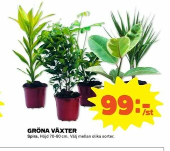 Stora Coop Gröna växter erbjuda
