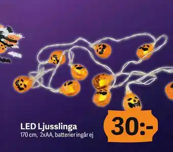 DollarStore LED Ljusslinga erbjuda
