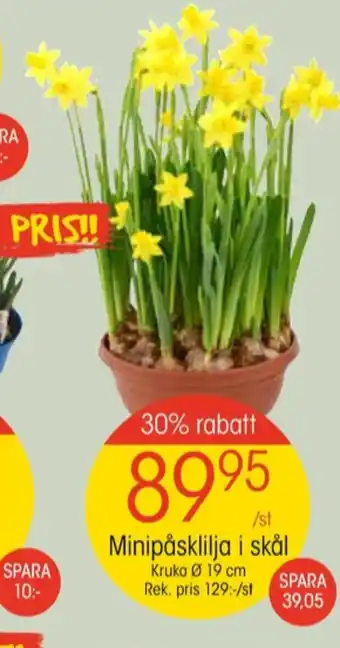 EKO Sodastream plantor erbjuda