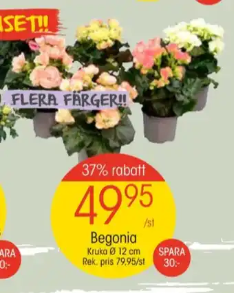 EKO Sodastream krukväxt erbjuda