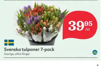 Hemköp Sun blommor erbjuda