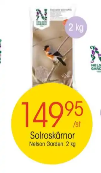 EKO Nelson garden solrosfrön erbjuda