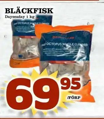 Bläckfisk