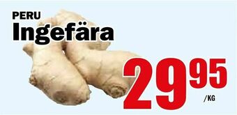 Matdax Ingefära erbjuda