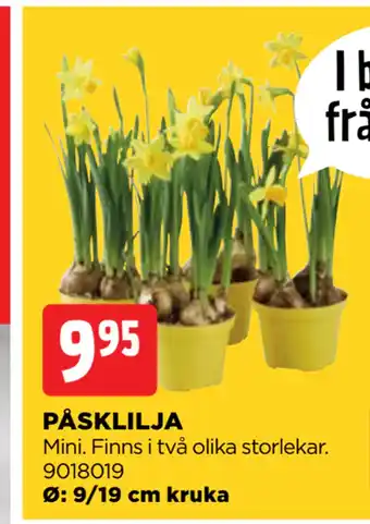 Jem&Fix PÅSKLILJA erbjuda