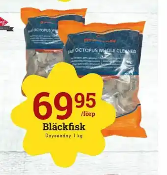 Bläckfisk