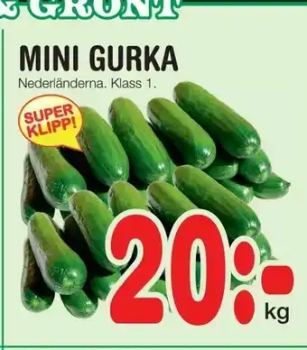 Nya Pulsen Mini gurka erbjuda