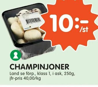 Tempo Champinjoner erbjuda