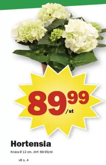 Pekås Coop plantor erbjuda