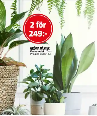 Bauhaus GRÖNA VÄXTER erbjuda