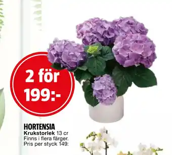 Bauhaus HORTENSIA erbjuda