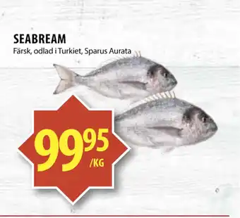 Matvärlden Tensta SEABREAM erbjuda