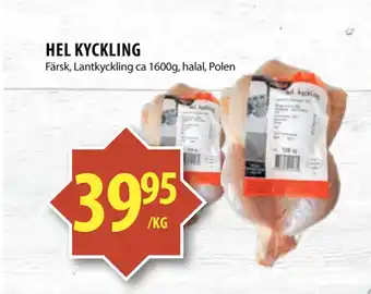 Matvärlden Tensta HEL KYCKLING erbjuda