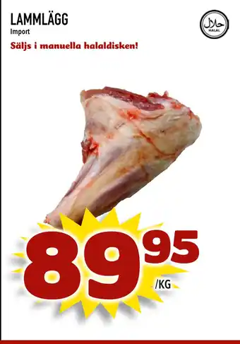 LAMMLÄGG