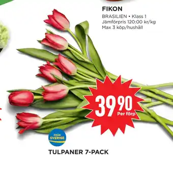 Willys TULPANER 7-PACK erbjuda