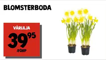 MatArket vispgrädde erbjuda