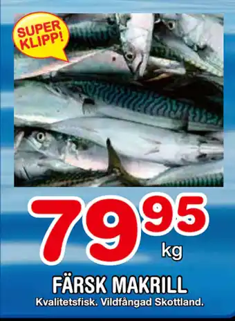 Nya Pulsen FÄRSK MAKRILL erbjuda
