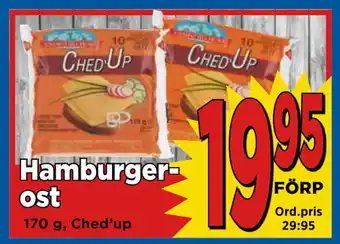 Supergrossen Hamburgerost erbjuda