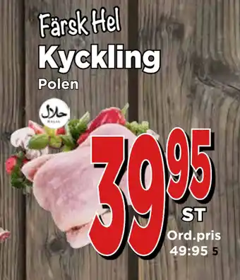 Supergrossen Kyckling erbjuda