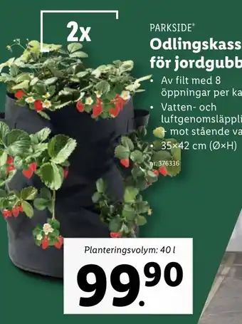 Lidl Odlingskassar för jordgubbar* erbjuda
