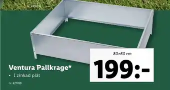 Ventura Pallkrage*