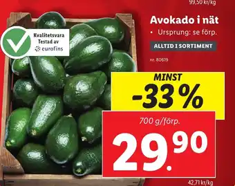Lidl Avokado i nät erbjuda