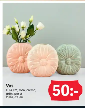 DollarStore Vas erbjuda