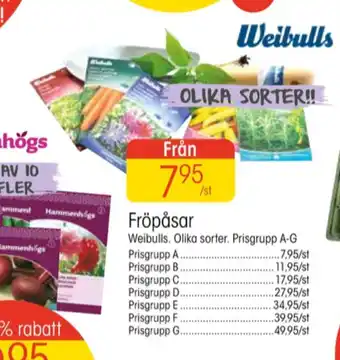 EKO Weibull fröpåsar erbjuda
