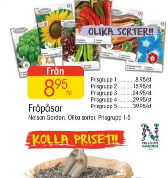 EKO Nelson garden fröpåsar erbjuda