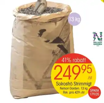 EKO Nelson garden solrosfrön erbjuda