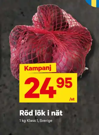 Röd lök i nät