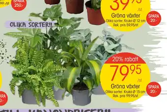 Gröna växter