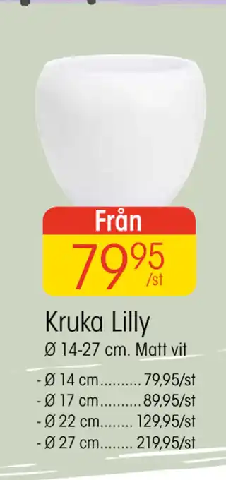 EKO Kruka Lilly erbjuda