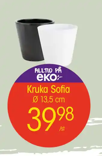 EKO Kruka Sofia erbjuda