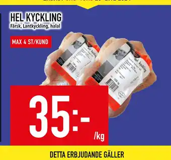 Matdax HEL KYCKLING erbjuda