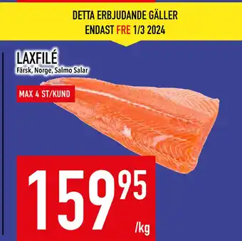 Matdax LAXFILÉ erbjuda
