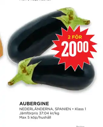 AUBERGINE