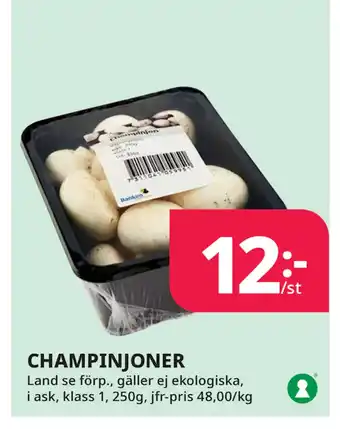 Tempo CHAMPINJONER erbjuda