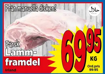 Supergrossen Lammframdel erbjuda