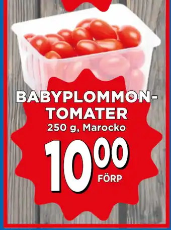 Supergrossen BABYPLOMMONTOMATER erbjuda