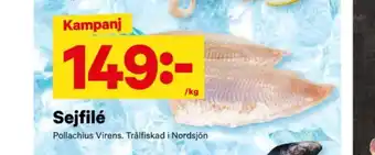 City Gross Jojjen sejfiléer erbjuda