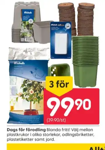 Rusta Weibull plantetikett erbjuda