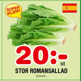 Nya Pulsen STOR ROMANSALLAD erbjuda